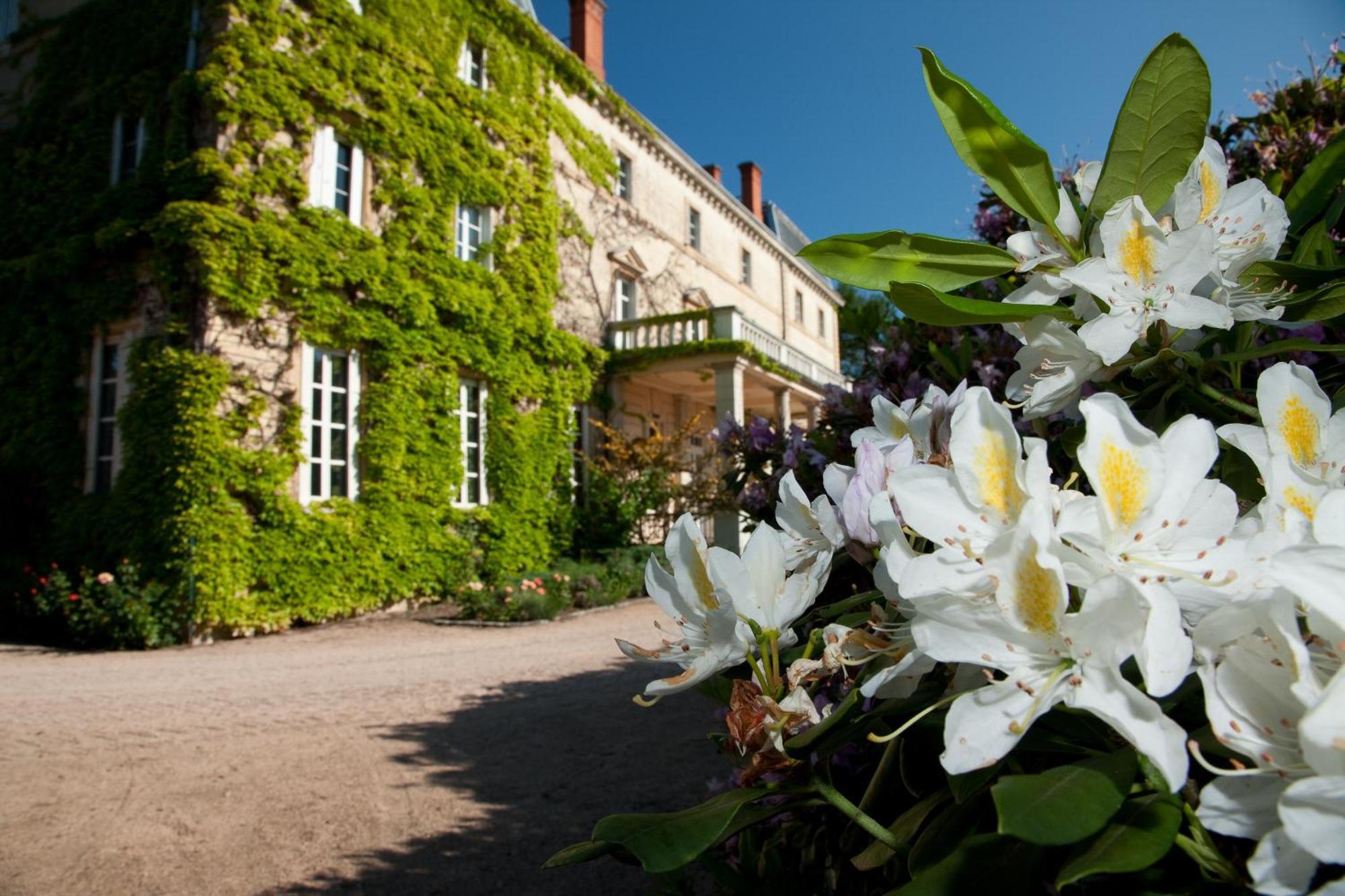 Chateau De Bellevue B&B Вилье-Моргон Экстерьер фото